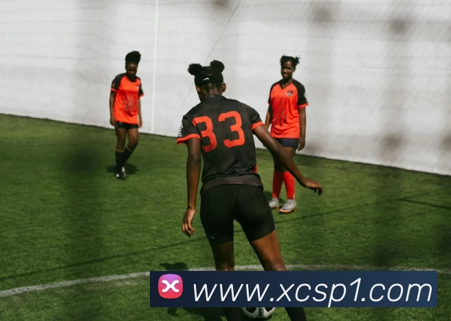 杏彩体育发展历程